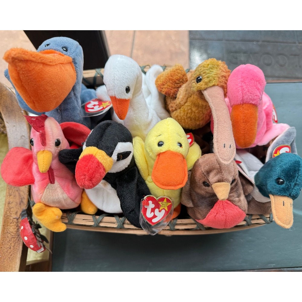 TY Beanie Babies Bird Lot of 9 Pinky Puffer Jake Gracie Scoop Strut Early